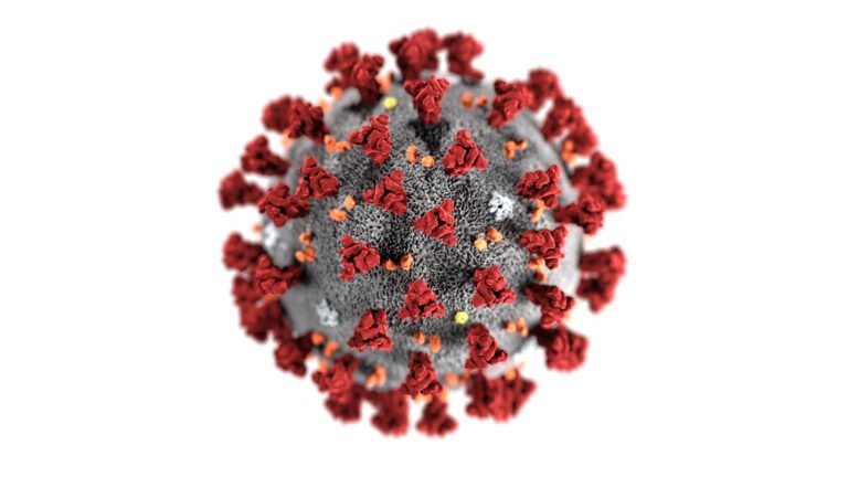 SARS-COV-2: Covid 19 virus depiction