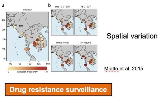 Drug resistance surveillance among different species of Mosquitoes. This map provides a detailed report of the frequency of mutation in the Malaria virus based on species found throughout the indo-affrican coasts