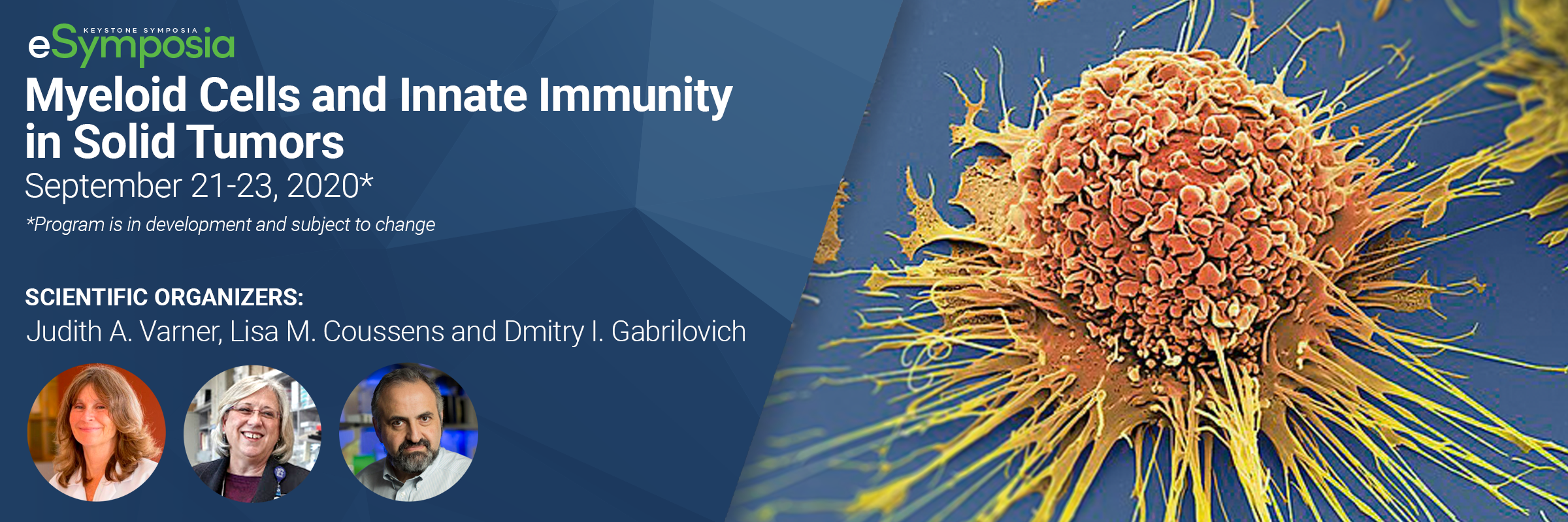 myeloid cells and innate immunity in solid tumors web banner