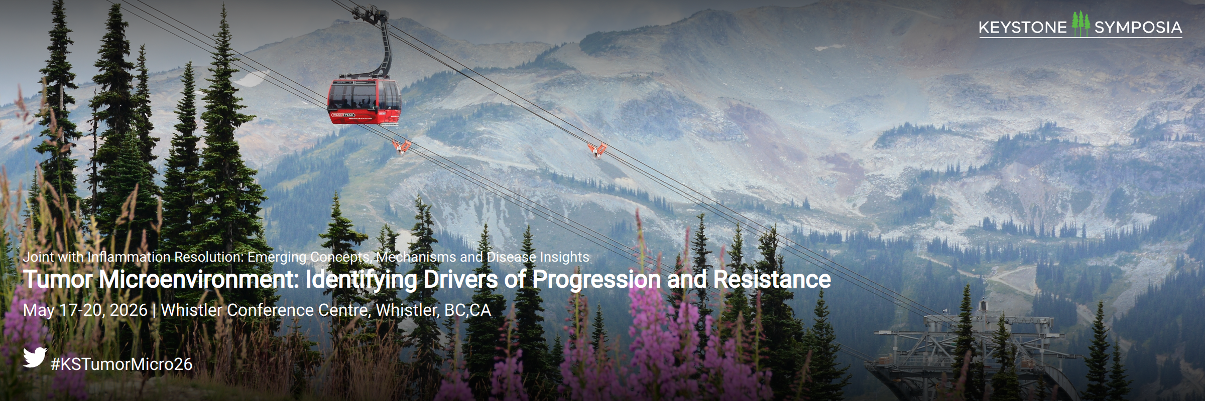 2400x800_2026M3-KSTumorMicro26