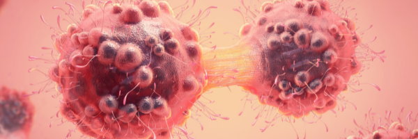 email banner_cat_cancer