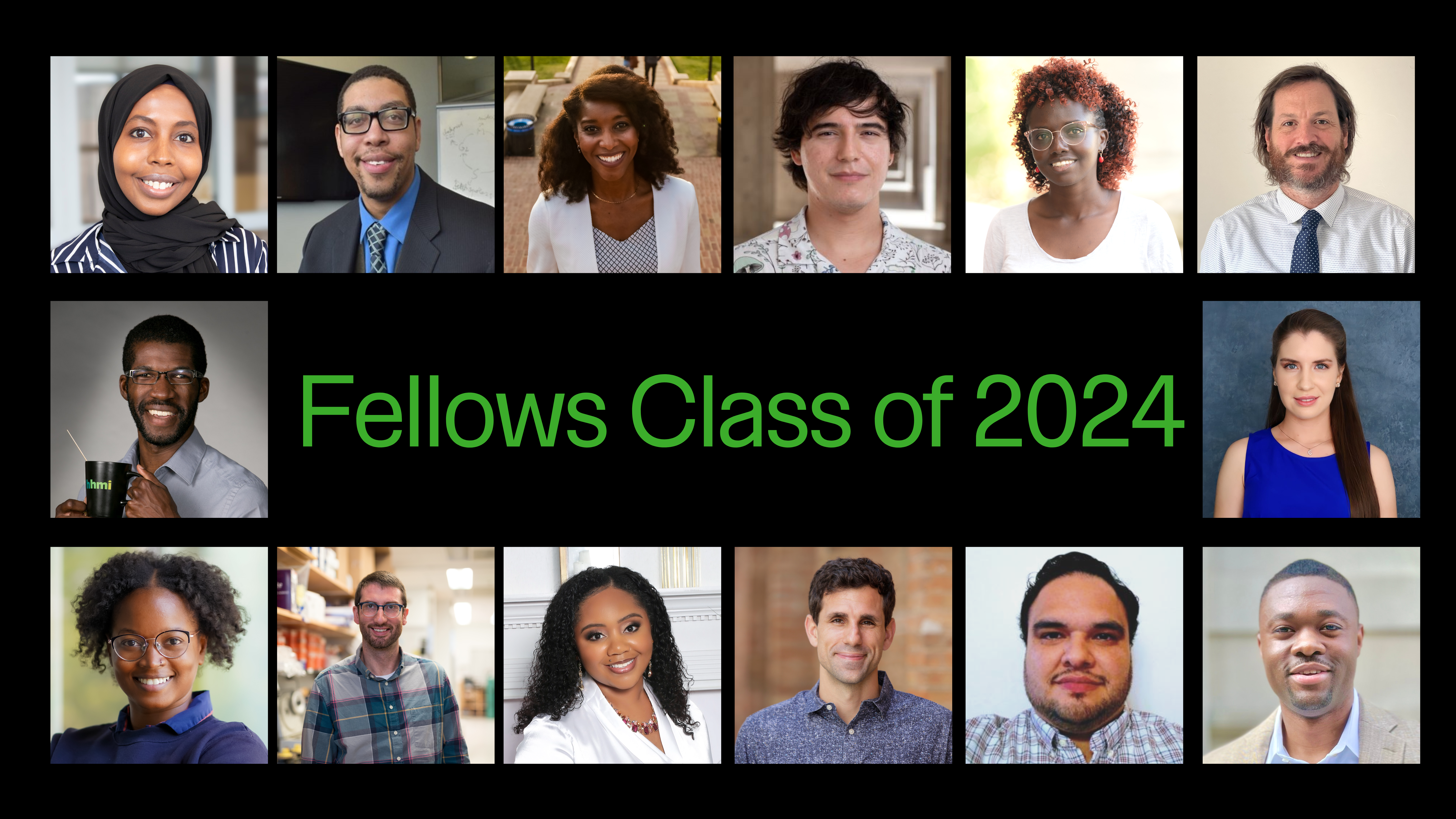 newsletter- fellows 2024