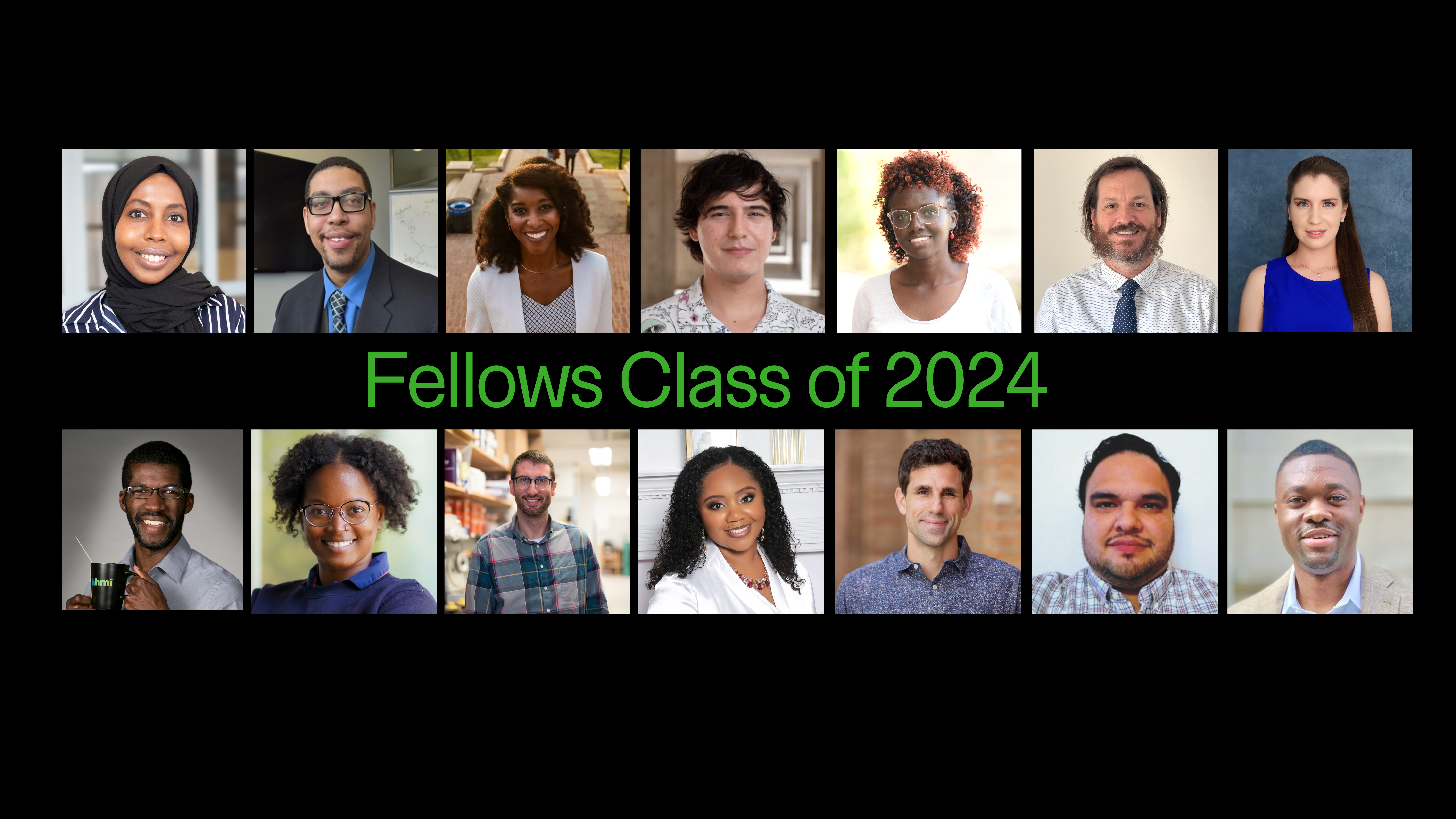 newsletter-header- fellows 2024 -1