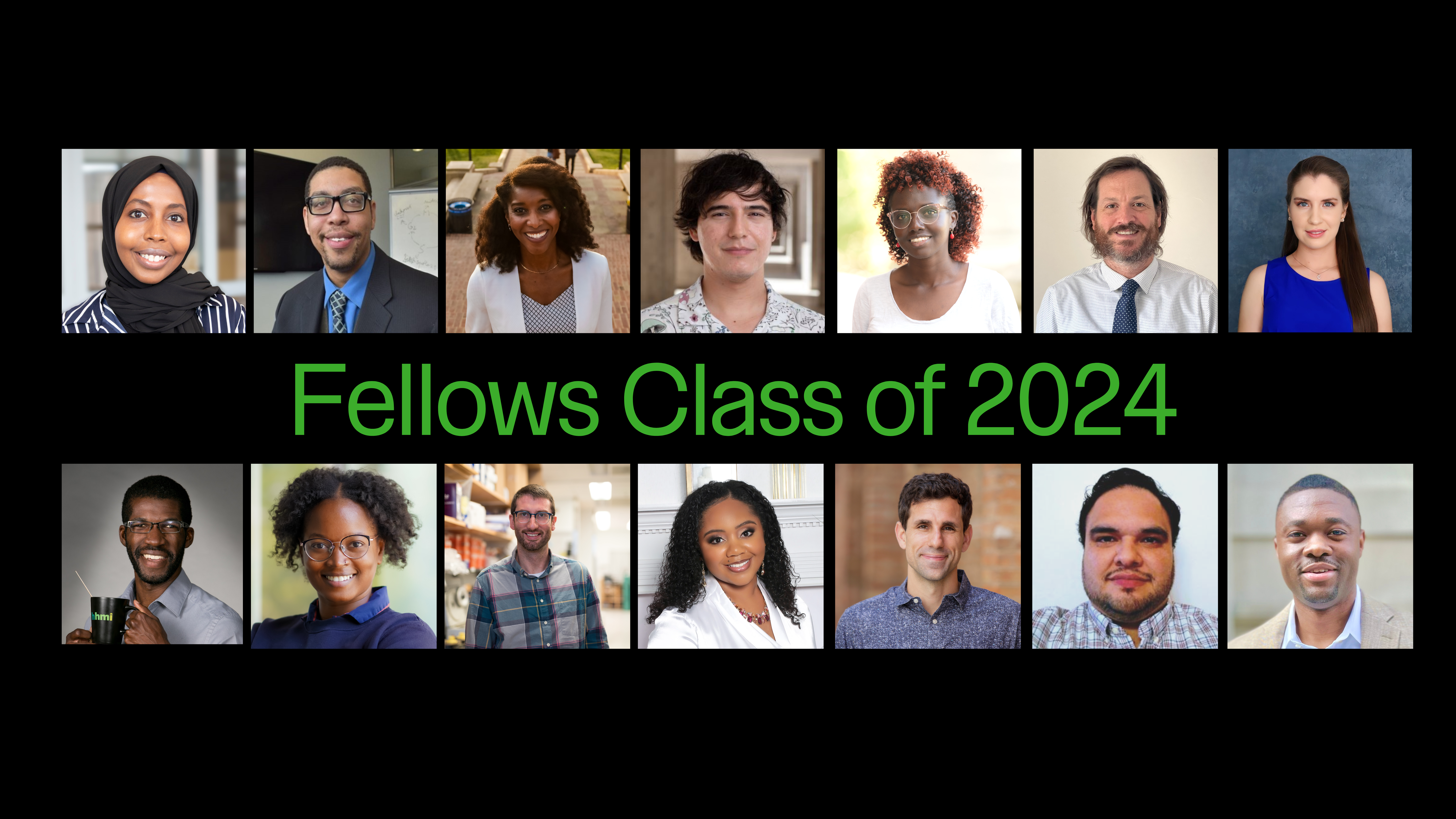 newsletter-header- fellows 2024 